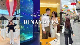 Vlog 🪼Una semana en Dinamarca ⊱🪷💓⊰