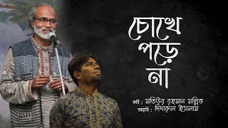 চোখে পড়েনা || কবি মতিউর রহমান মল্লিক || আবৃত্তি- দিদারুল ইসলাম || ধানশালিক স্টুডিও