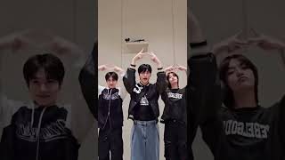 Kpop idols- love lee challenge #fyp #txt #babymonster #newjeans #hwasa #AKMU