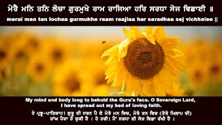 ਮੇਰੈ ਮਨਿ ਤਨਿ ਲੋਚਾ ਗੁਰਮੁਖੇ  merai man tan lochaa gurmukhe - Bhai Gurpreet Singh Jalandhar