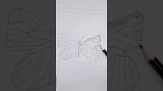 Art butterfly drawing #howtodraw #shorts #youtubeshorts