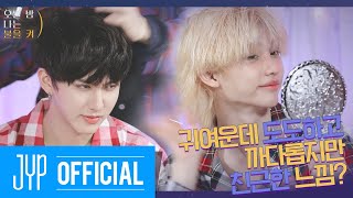 귀여운데 도도하고 까다롭지만 친근한 느낌? | 오늘 밤 나는 불을 켜(All-Night SKZ) Ep.01