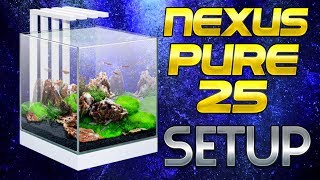 CIANO NEXUS PURE 25 TANK SETUP