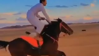 الخيل العربي ما شاءالله عليك