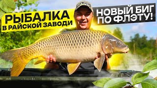 ДА СКОЛЬКО ЖЕ КАРПОВ В ЭТОЙ ЗАВОДИ?! Оторвался по флэту от души! НОВЫЙ БИГ!