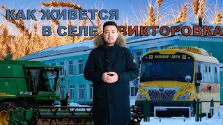 ТОО "Викторовское", как одно хозяйство меняет жизнь в селе Зерендинского района.