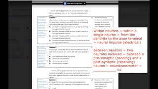 General Psych Revision - Q&A