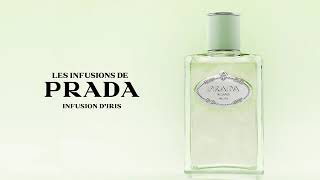 Infusion Iris Eau de Parfum PRADA - Incenza