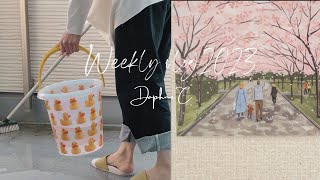 Weekly diary 🧽MARCH | spring cleaning | no bread for a week | Tochigi milk berries 🍓