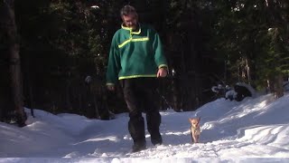 L'gosseux d'bois - Chalet début février 2024