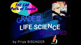 GRADE 12~ THE PATH OF SOUND