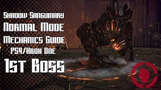 TERA Console: Shadow Sanguinary Mechanics Guide - 1st Boss - PS4/XB1