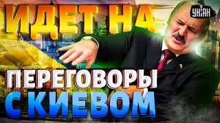 Лукашенко идет на ПЕРЕГОВОРЫ с Киевом: картофельного мачо взяли за усы. Разбор интервью Скабееву