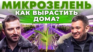 Как открыть ферму микрозелени? Кому продать урожай? Ситиферма на гидропонике | Андрей Даниленко