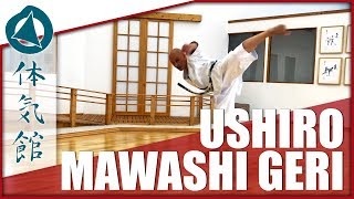 HOW TO: USHIRO MAWASHI GERI | Shōtōkan Karate Kick aka Chuck-Norris-Roundhouse-Kick by F. Tartaglia