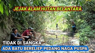 jelajah alam hutan belantara, menemukan sebuah batu bereliep pedang naga puspa