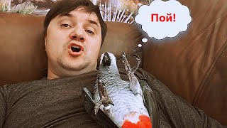 ✅СПЕЛ СВОЕМУ ПОПУГАЮ и ПОЖАЛЕЛ 🤣 ОДИН ДЕНЬ ИЗ ЖИЗНИ ГОВОРЯЩЕГО ПОПУГАЯ 🐦 ЖАКО ПЕТРУНЯ