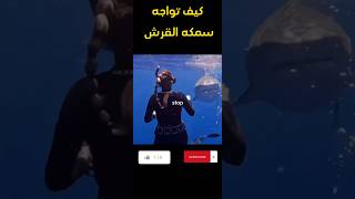 كيف تواجه سمكه القرش