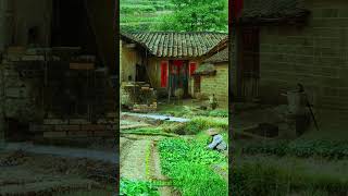 Rural life.  #villagelife #nature #soothingraincountryside #scenery #countryside #beautiful #shorts