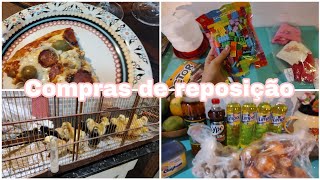 COMPRAS DE REPOSIÇÃO + VAMOS CRIAR PINTINHOS + COMPRAS NA LOJA DO 15$