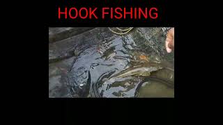 Hook Fishing #shorts