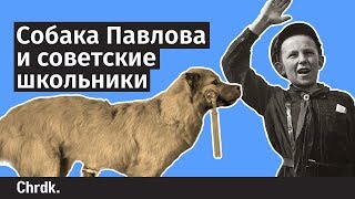 Собака Павлова и советские школьники