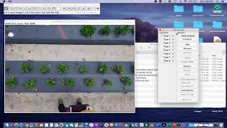 ImageJ Tutorial 4.2 - Count Flowers and Fruits Using a Counter Tool