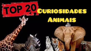 TOP 20 Coisas INCRÍVEIS sobre ANIMAIS que você nunca IMAGINOU