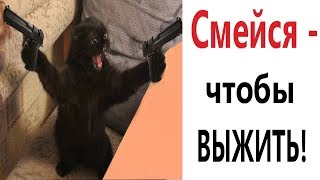 Лютые приколы. ЧТОБЫ ВЫЖИТЬ - СМЕЙСЯ!!! Ржака до СЛЁЗ – САМОЕ СМЕШНОЕ ВИДЕО - Domi Show