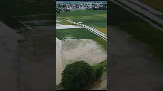 Hochwasser 2024 💧🌧 #shortsfeed #shorts #lifestyle #hochwasser #rain #foryou #fypシ #farming #viral