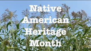 Native American Heritage Month