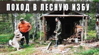 Поход в лес. 🌲 Лесная изба. 🏞Таёжный быт.👈