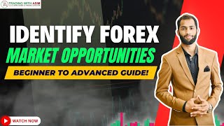 How to Identify Forex Market Opportunities: Beginner to Advanced Guide