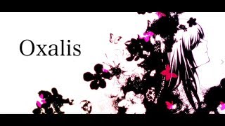 Oxalis / ウォルピスカーター【歌ってみた】