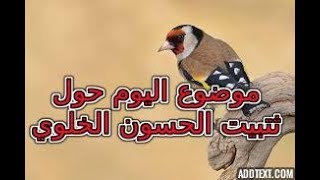 هل هده السلاكة صالحة لتزاوج  4 أزواج الحسون