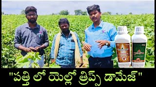 #పత్తిలో  కొత్తగా ఎల్లో త్రిప్స్,యక్ష ఆయుష్#Cotton yellow thrips yaksha aayush #agriculture#farming