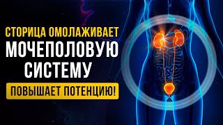 Просто ВКЛЮЧИ - Действует СРАЗУ! | Оздоровление и Омоложение Мочеполовой Системы | Исцеление Звуком