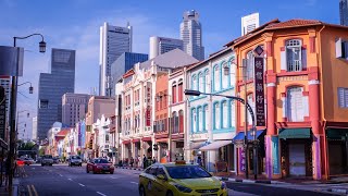 The Shopping Hub in Singapore-Little India Tour{Mustafa Mall}