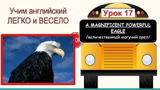 Английский для детей и начинающих. Видеотренажер. Тема: Величественный могучий орел