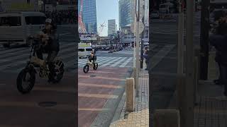 Go Karts casually driving through Shibuya Scramble Crossing 2.40pm 4/3/24 #shibuyacrossing #japan