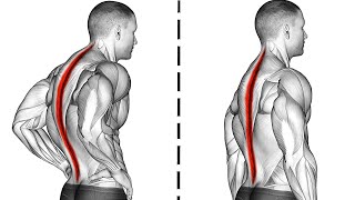 14 Morning Exercises To Correct Posture