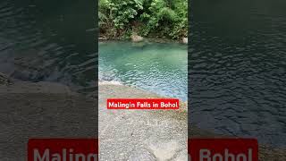 Malingin Falls Bohol #shorts #asmr #viralvideo #viralshorts #waterfall  #ytshorts  #youtubefeed #fyp