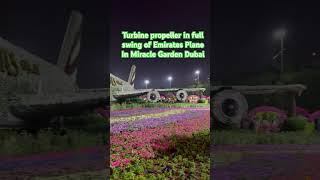 Turbine propeller of Emirates Plane In Miracle Garden Dubai @VisitDubai #shorts #viral