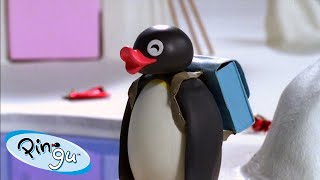 Best Episodes from Season 6 | Pingu - Official Channel | Cartoons For Kids