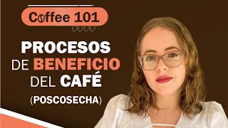 Conoce los procesos de beneficio del café | Coffee 101