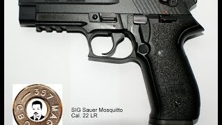 Pistole SIG Sauer Moquitto (disassembly) zerlegen