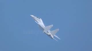 Chinese J-16 Fighter Jet Airshow #j16 #chinesej16