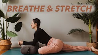 Breathwork & Yin for Emotional Balance | Trauma Informed Yoga