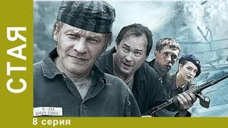 Стая. 8 серия. Сериал. Криминальный боевик