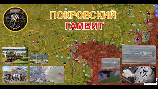 ВС РФ Вошли В Гродовку⚔️ Курское Направление - Путь К Стабилизации🚨 Военные Сводки За 13.08.2024